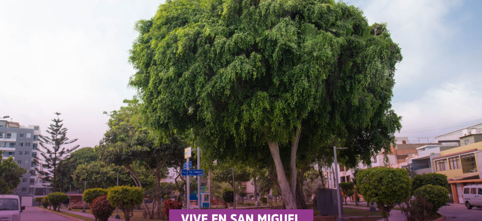 Venta de Departamento En San Miguel, Lima – US$ 84,000 – Jr. María José de Arce