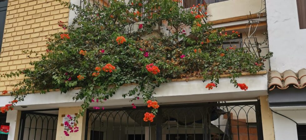 Alquiler de Habitación En La Molina, Lima – A consultar – Calle Central, Mz I Lote 10, Urb. Los Girasoles, La Molina.