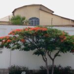 Venta de Casa En La Molina, Lima – A consultar –