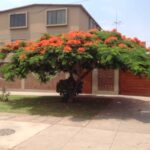 Venta de Casa En San Borja, Lima – US$ 690,000 –