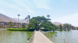 La Molina: Un Refugio Residencial de Lujo y Tranquilidad en Lima